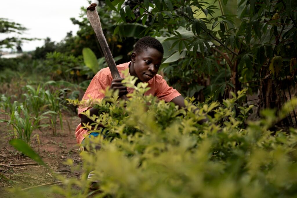 medium-shot-boy-working-outdoors