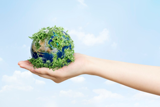 The Interconnected Systems That Sustain Life