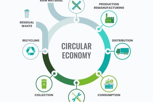 Circular Economy – Mastering the 3 Rs: Effective Strategies to Reduce, Reuse, and Recycle