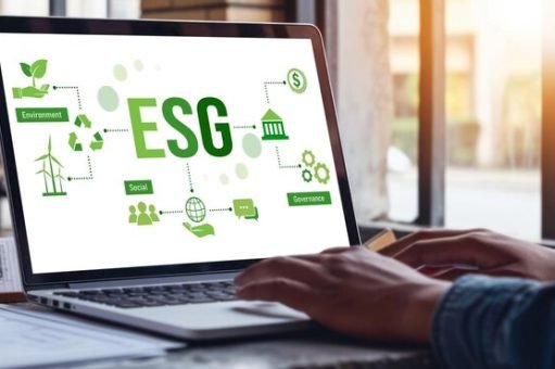 Integrating ESG Principles: A Comprehensive Guide for Business Leaders
