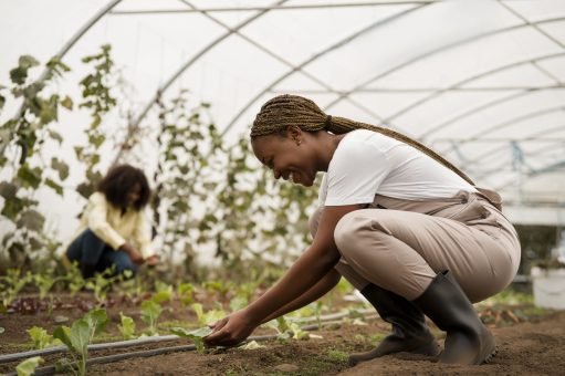 Climate Change Impact Assessment on Climate Smart Agriculture in Kenya